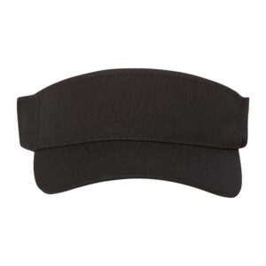110® Visor