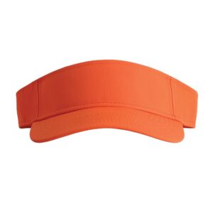 The Performance Phoenix Visor